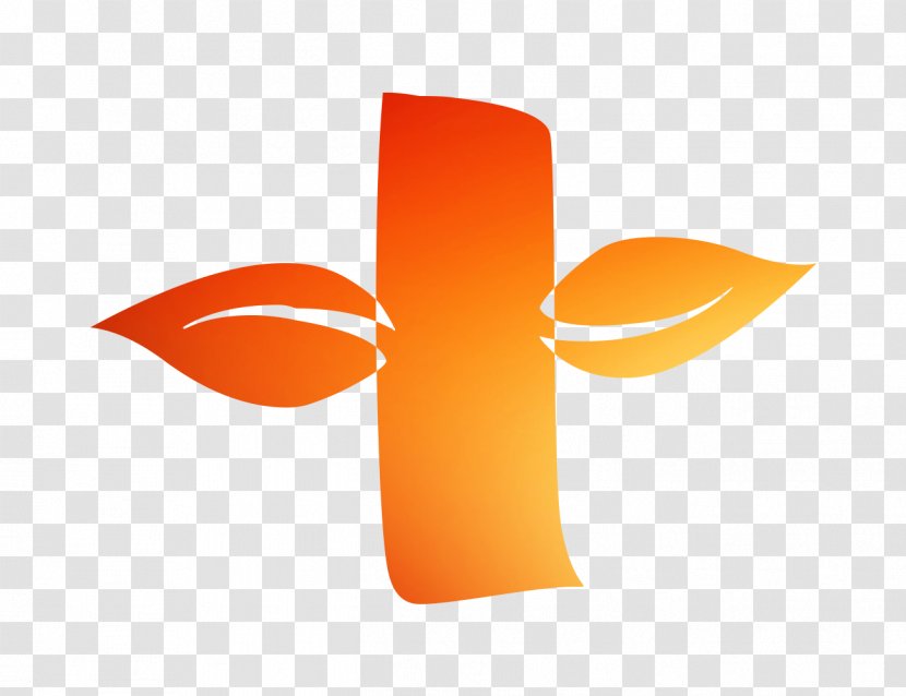 Logo Product Design Font - Symbol - Orange Transparent PNG