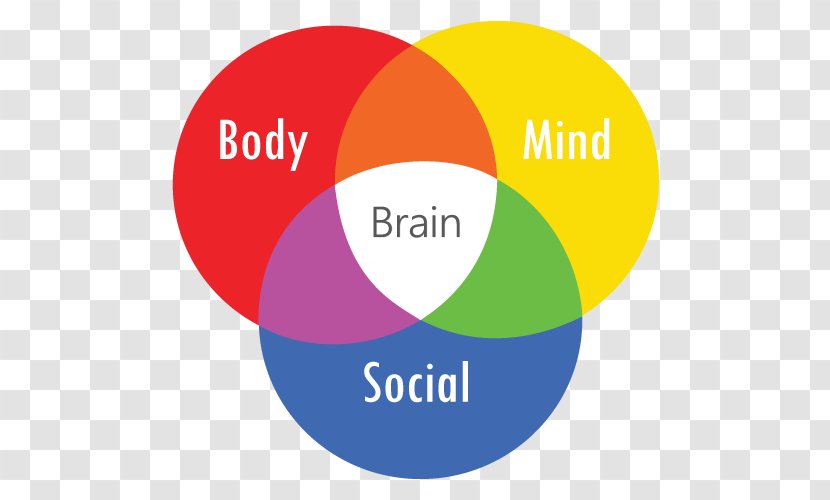 Biopsychosocial Model Biology Grundformen Der Angst Bodymind - Social - Mind Body Transparent PNG
