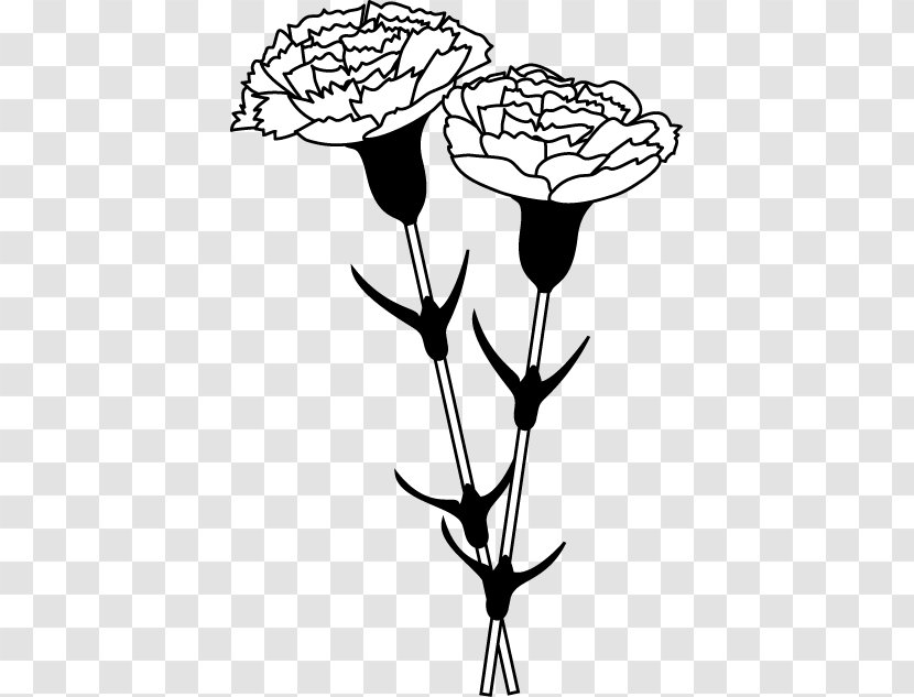 Black And White Carnation Monochrome Painting Clip Art - Line - Flower Transparent PNG