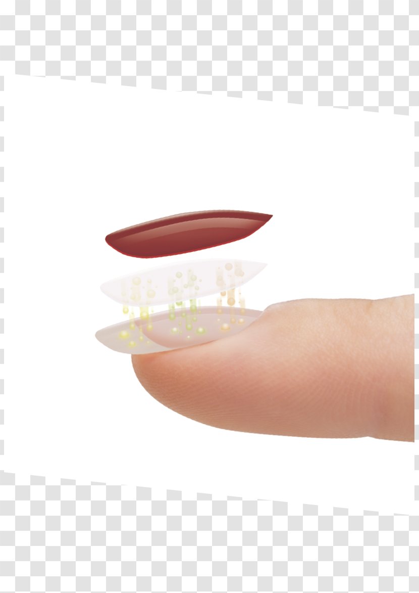 Nail Hand Model Transparent PNG