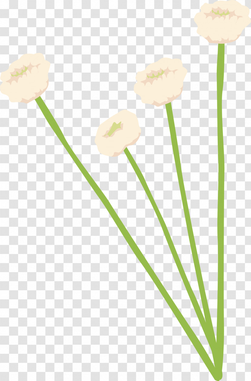 Flower Yellow Plant Stem Plant Pedicel Transparent PNG