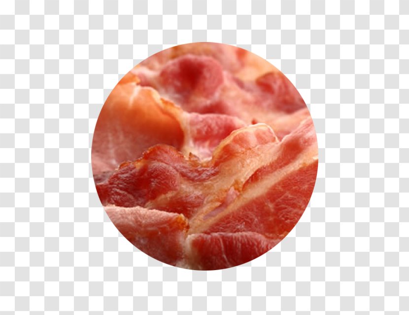 Capocollo Ham Bacon Baked Beans Full Breakfast - Silhouette Transparent PNG