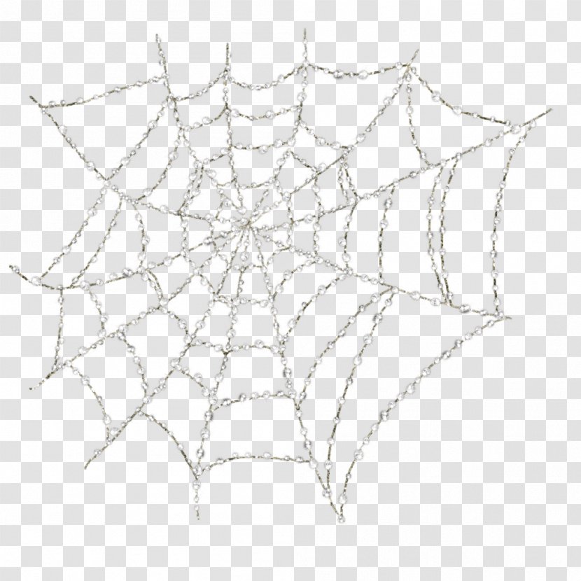Spider Web Tarantula - Net Transparent PNG