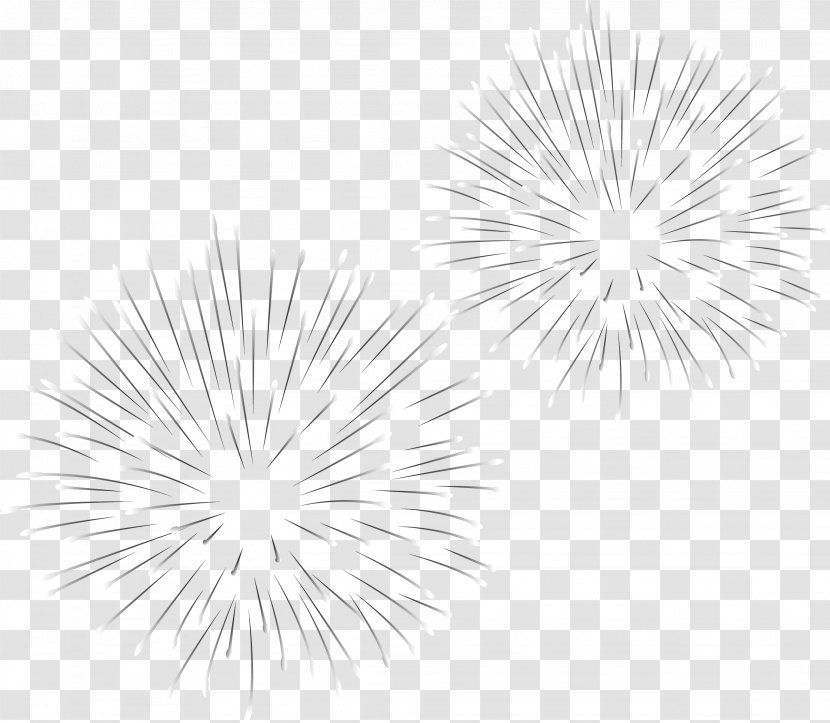 White Black Pattern - Petal - Fireworks Transparent PNG