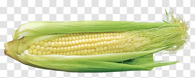 Corn On The Cob Vegetable Kernels Sweet - Food Plant Transparent PNG