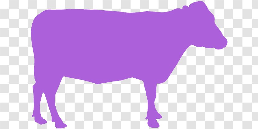 Purple Violet Bovine Snout Livestock - Silhouette - Dairy Cow Transparent PNG