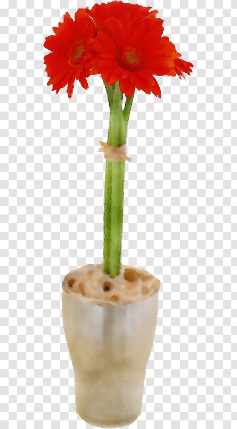 Flower Plant Stem Flowerpot Plants Science Transparent PNG