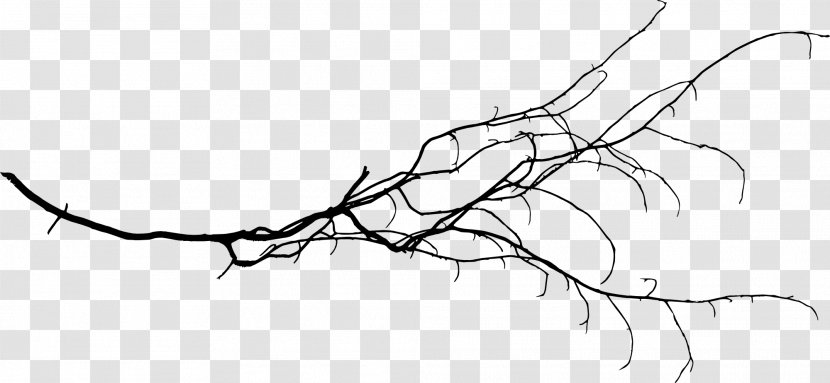 Branch Tree Twig Clip Art - Silhouette Transparent PNG