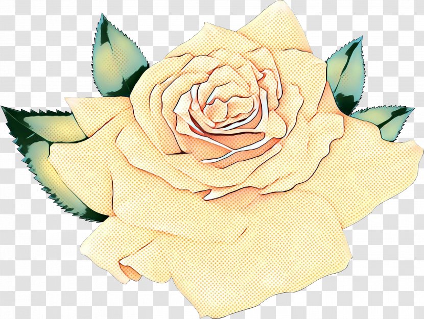 Garden Roses Cabbage Rose Cut Flowers Floral Design Petal - Gardenia - Flower Transparent PNG