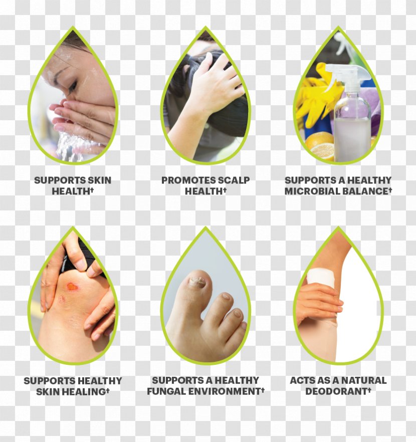 Cleanser Finger Rosacea Erythema - Design Transparent PNG