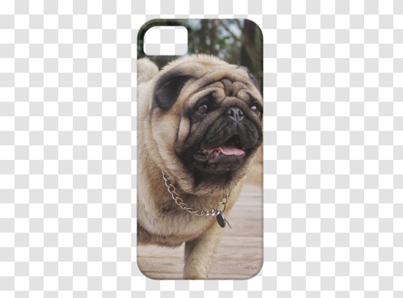 Pug IPhone 5s French Bulldog 5c - Dog Breed Transparent PNG