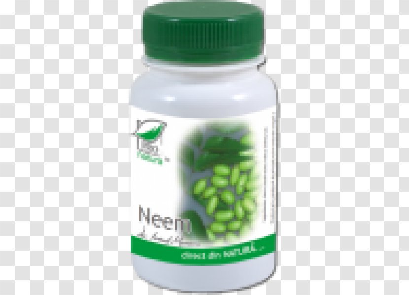 Saw Palmetto Dietary Supplement Prostate Herbalism Therapy - Capsule - Neem Transparent PNG