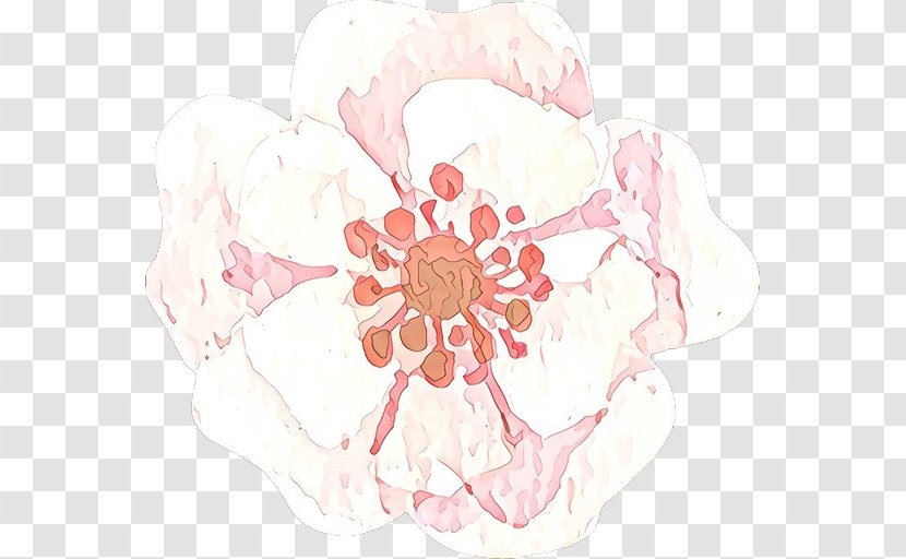 Pink Flower Plant Petal Peach - Cartoon - Blossom Transparent PNG