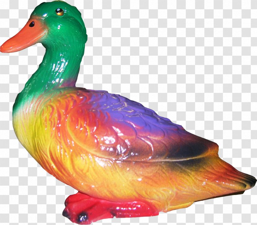 Duck Beak Transparent PNG