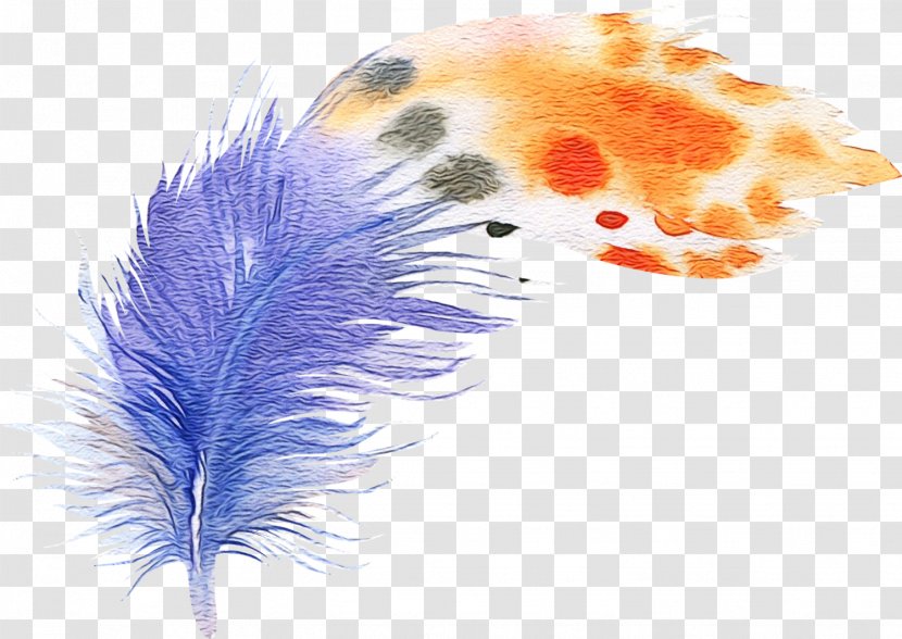 Watercolor Background - Wing - Tail Transparent PNG