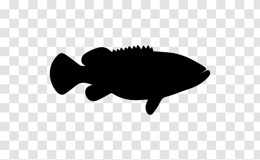 Atlantic Goliath Grouper Hyporthodus Nigritus Fish Transparent PNG