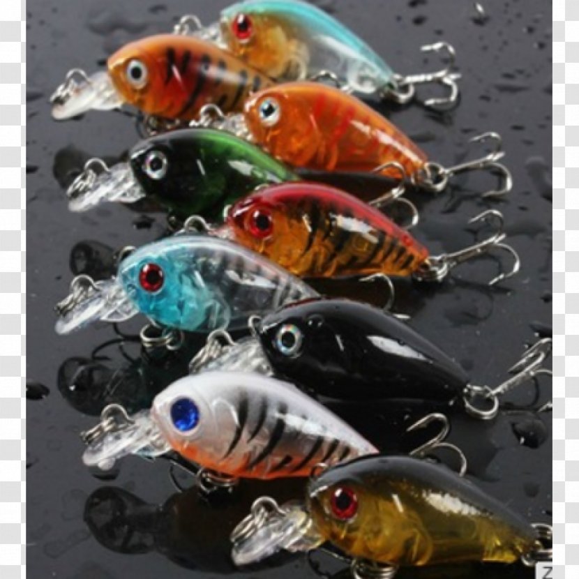 Fishing Baits & Lures Reels - Surface Lure Transparent PNG
