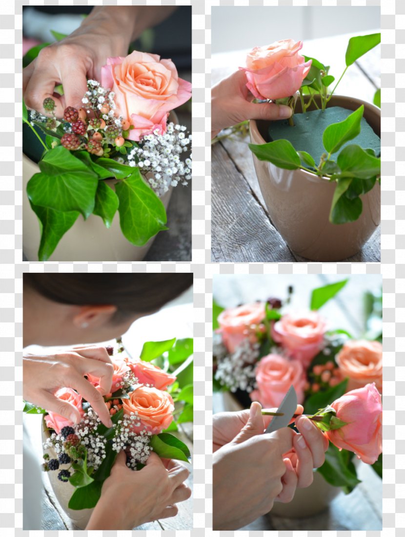 Garden Roses Floral Design Cut Flowers Flower Bouquet - Petal - Rose Transparent PNG