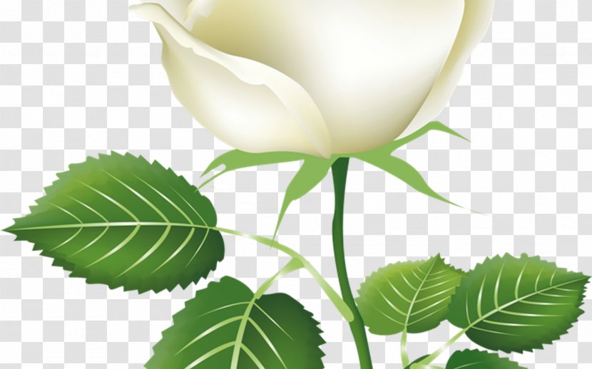 Drawing Of Family - Theme - Plant Stem Bud Transparent PNG