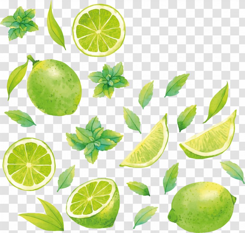Lemon-lime Drink Key Lime Food - Citrus - Watercolor Vegetables Transparent PNG