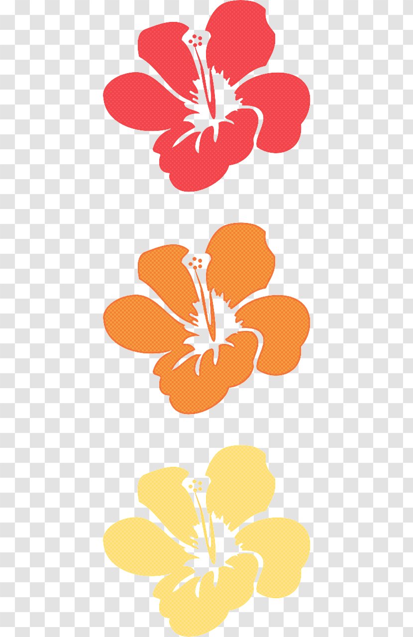 Orange - Flower - Petal Mallow Family Transparent PNG