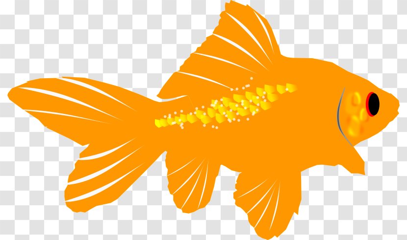Goldfish Clip Art - Pixabay - Easy Fish Cliparts Transparent PNG