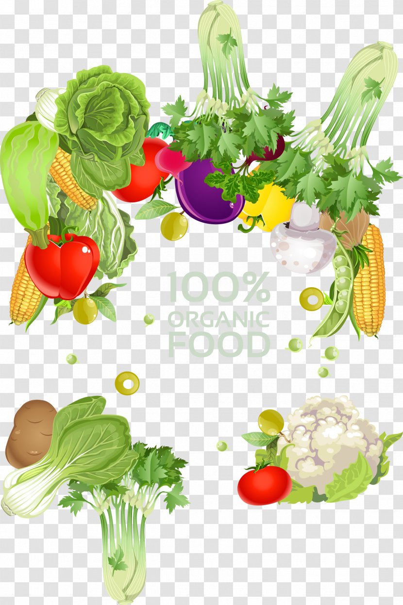 Vegetarian Cuisine Vegetable Fruit Illustration - Food - Vegetables Border Transparent PNG