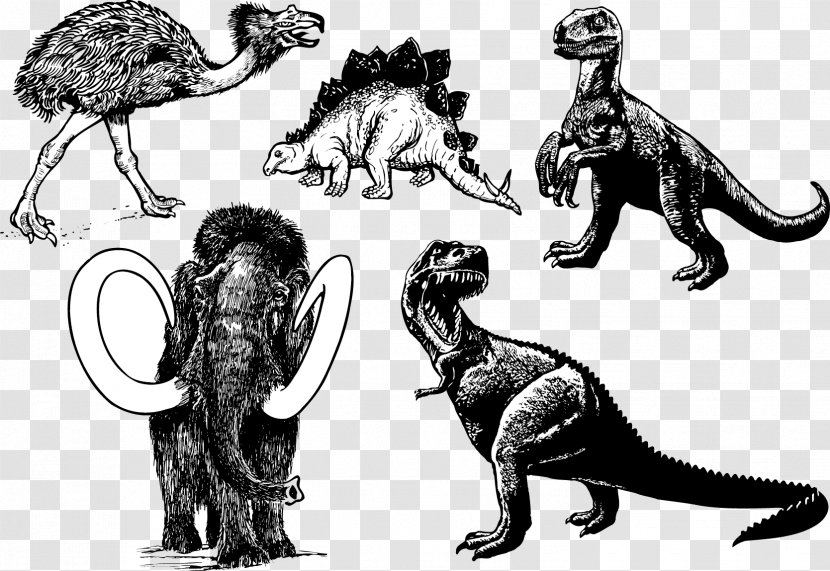 Tyrannosaurus Prehistory Stegosaurus Woolly Mammoth - Wildlife - Vector Dinosaurs Transparent PNG