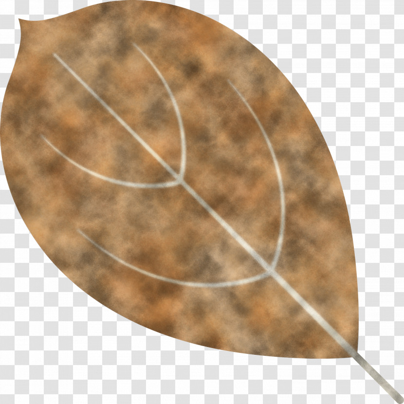 Autumn Leaf Autumn Color Transparent PNG