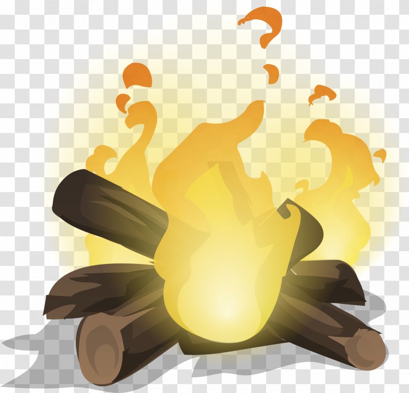 Fire Triangle Light Combustion - Flower Transparent PNG