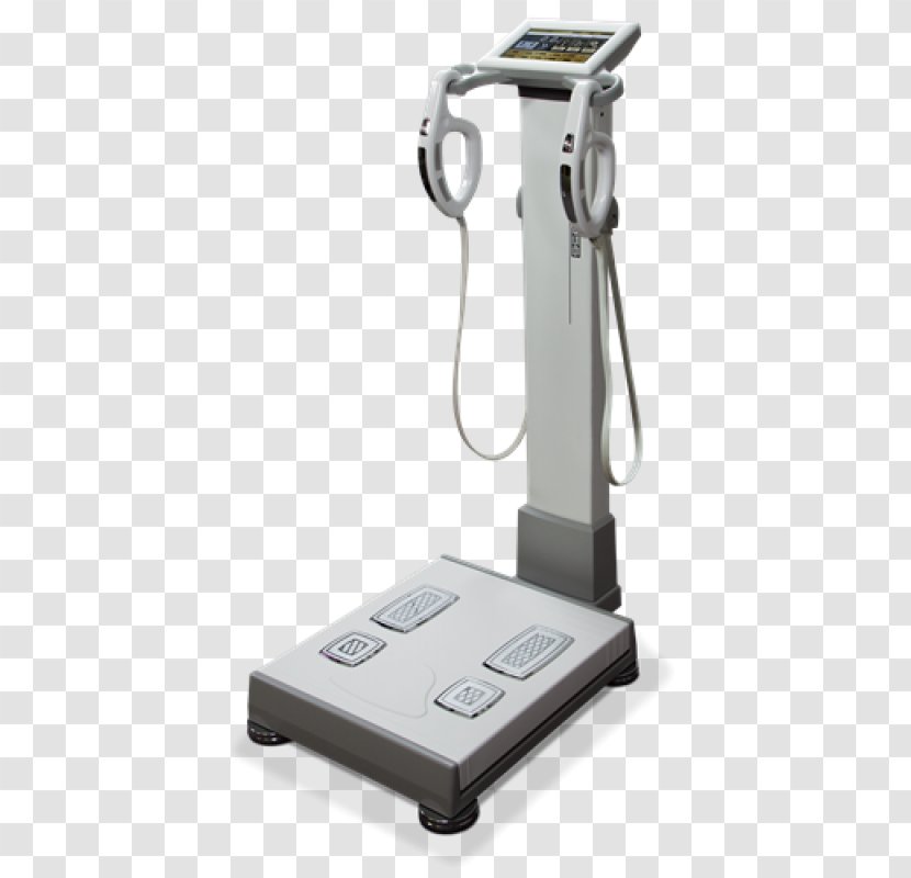 Body Composition Human Measuring Scales 4MD Medical Mobile Phones - Color Transparent PNG