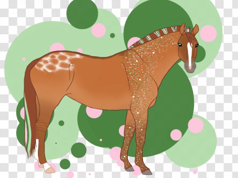 Foal Mustang Mare Stallion Colt - Yonni Meyer Transparent PNG
