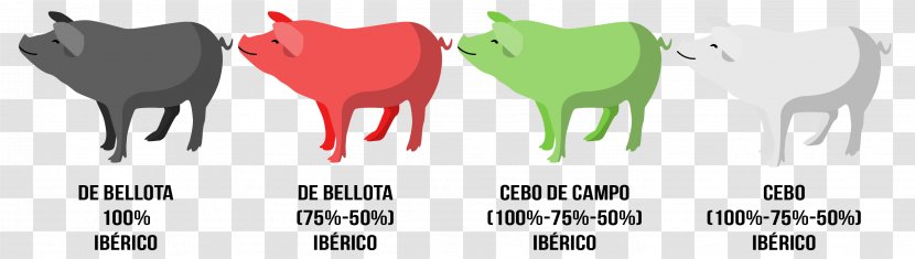 Black Iberian Pig Ham Duroc Jamón Ibérico Tapas - Frame Transparent PNG