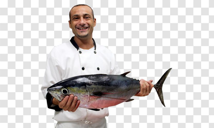 Tuna Mackerel Fishing Fish Products 09777 Transparent PNG