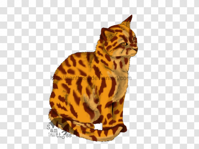Bengal Cat California Spangled Cats Of The Clans Warriors Leopardstar - Leopard - Eyes Transparent PNG