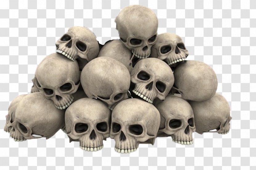 Skull Royalty-free Stock Photography Image Graphics - Royaltyfree Transparent PNG