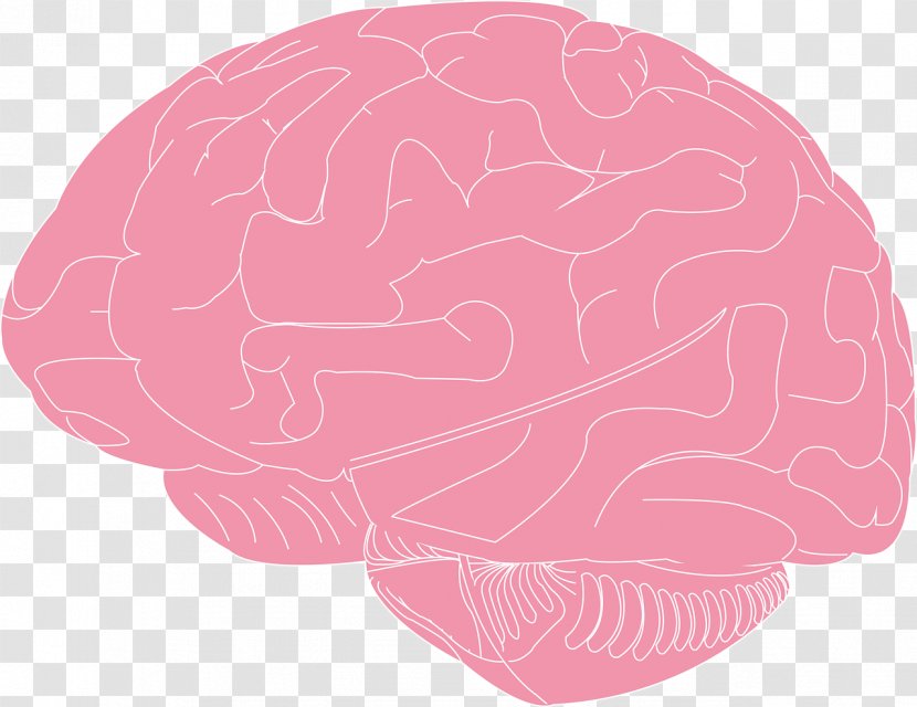 Human Brain Sunifiram Clip Art - Cartoon Transparent PNG