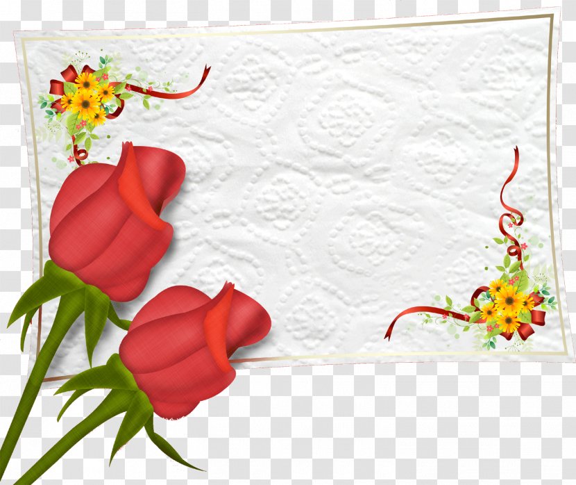 Wedding Invitation Desktop Wallpaper Photography Reception - Plant Transparent PNG