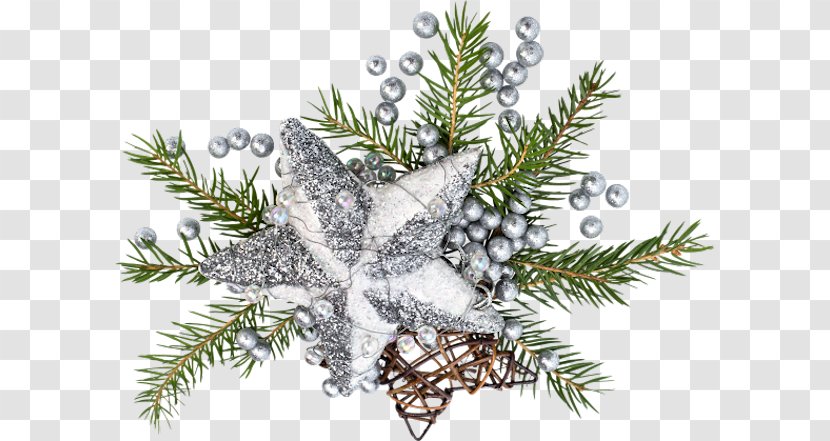 Fir Christmas Ornament Spruce Tree Twig - Evergreen Transparent PNG