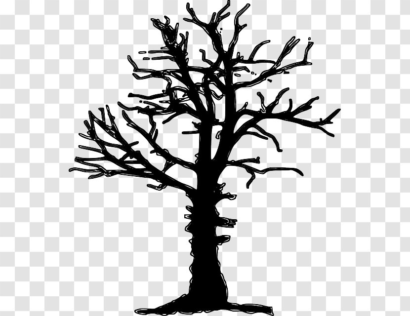 Tree Drawing Forest Dieback Clip Art - Kering Transparent PNG