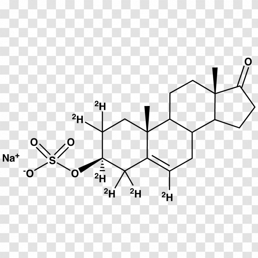 Dehydroepiandrosterone Sulfate Structure Androgen Chemical Compound - Tree - Sodium Transparent PNG