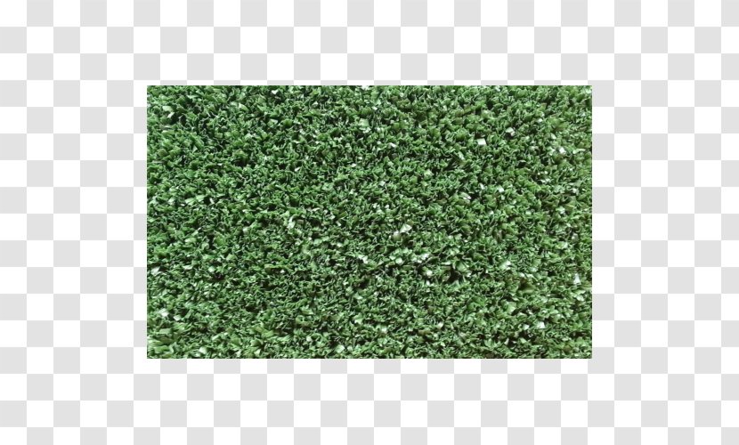 Hedge Green Groundcover Lawn - Grass Carpet Transparent PNG