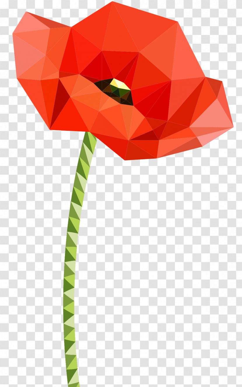 Common Poppy - Leaf - Mayflower Transparent PNG