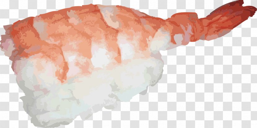 Japanese Cuisine Sushi Sashimi Raw Foodism Clip Art - Shrimp Transparent PNG