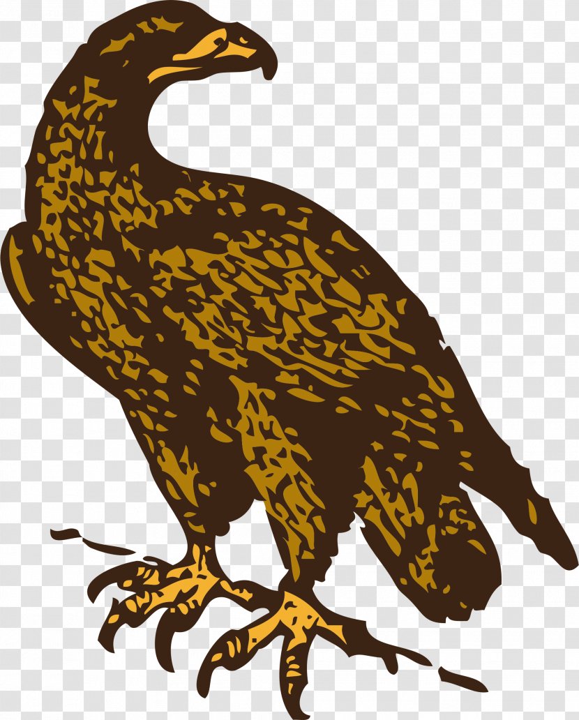 Bald Eagle Golden Clip Art - Falcon Transparent PNG