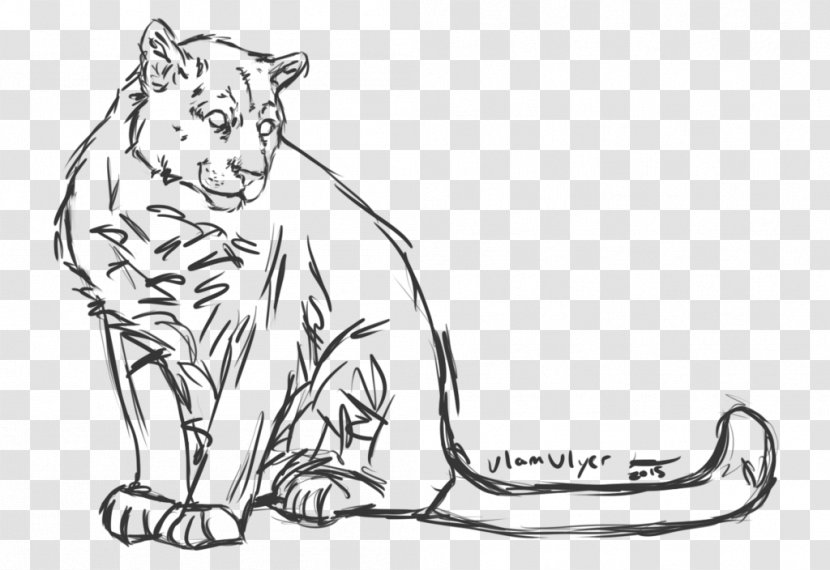 Line Art Lion Tiger Whiskers Drawing Transparent PNG