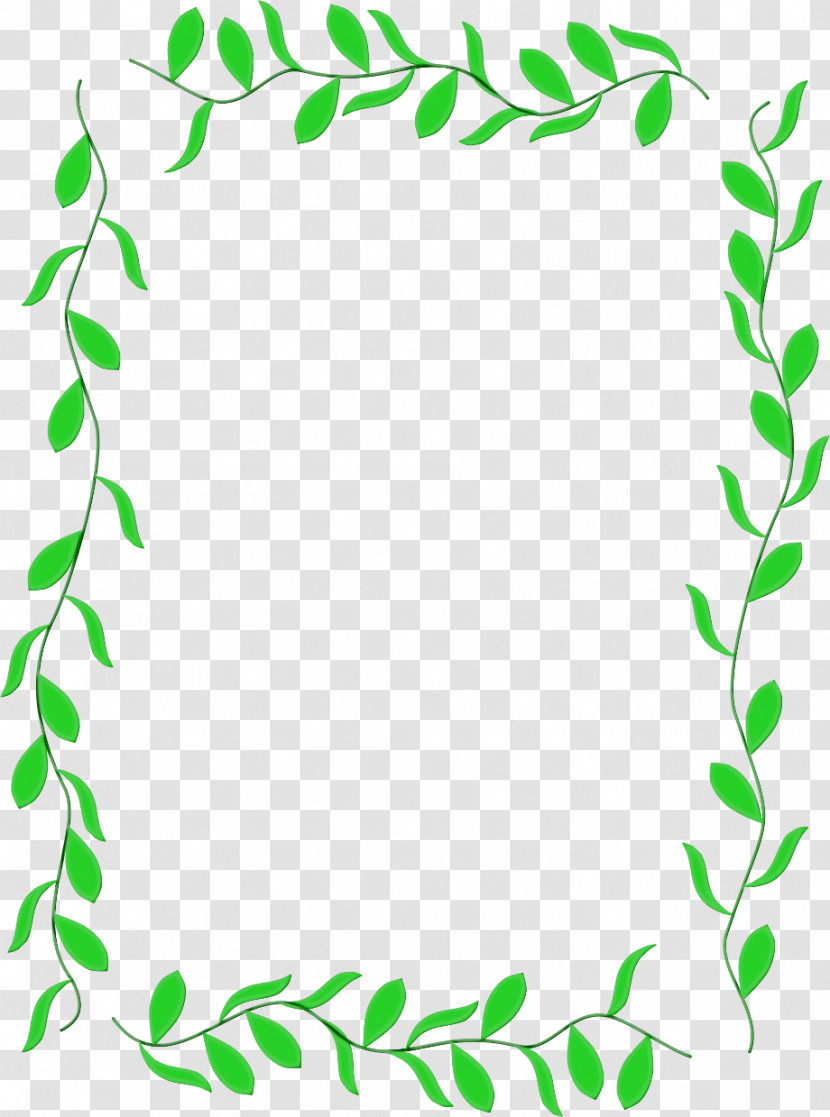 Leaf Plant Stem Tree Meter Flower Transparent PNG