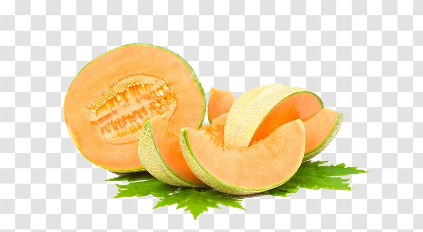 Hami Melon Food Fruit Eating - Cantaloupe - Yellow Transparent PNG