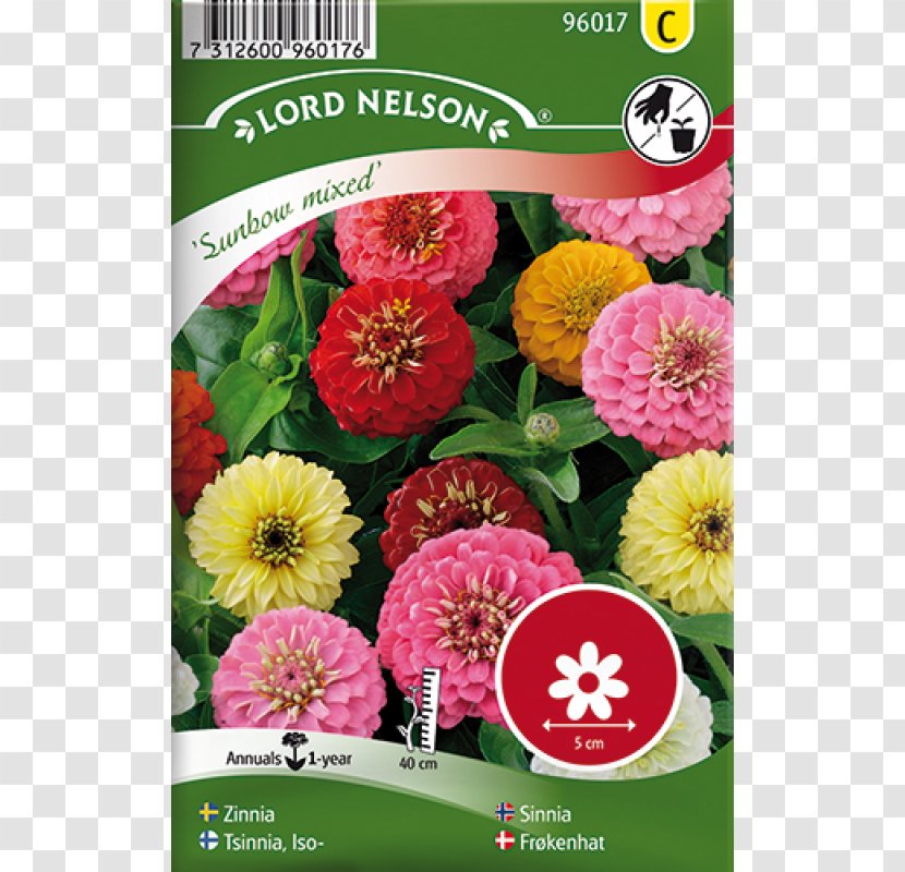 Chinese Lantern Seed Garden Nasturtium Kesäkukka Bedding - Annual Plant - Zinnia Elegans Transparent PNG