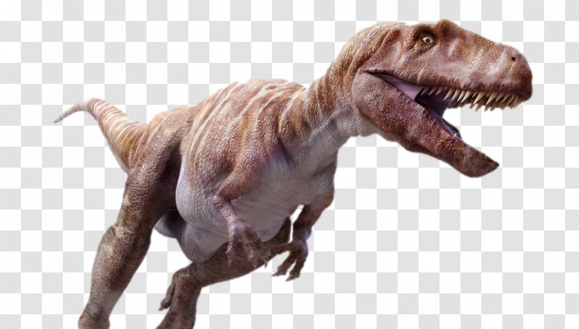 Megalosaurus Tyrannosaurus Torvosaurus Dinosaur Carcharodontosaurus - Snout Transparent PNG